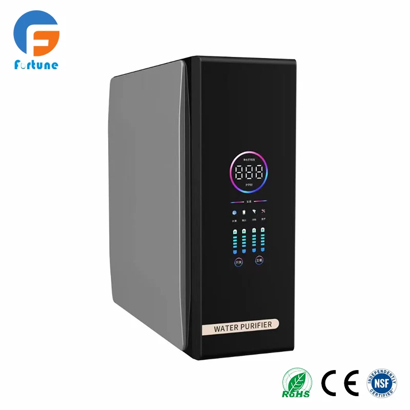 Family RO Water Filter